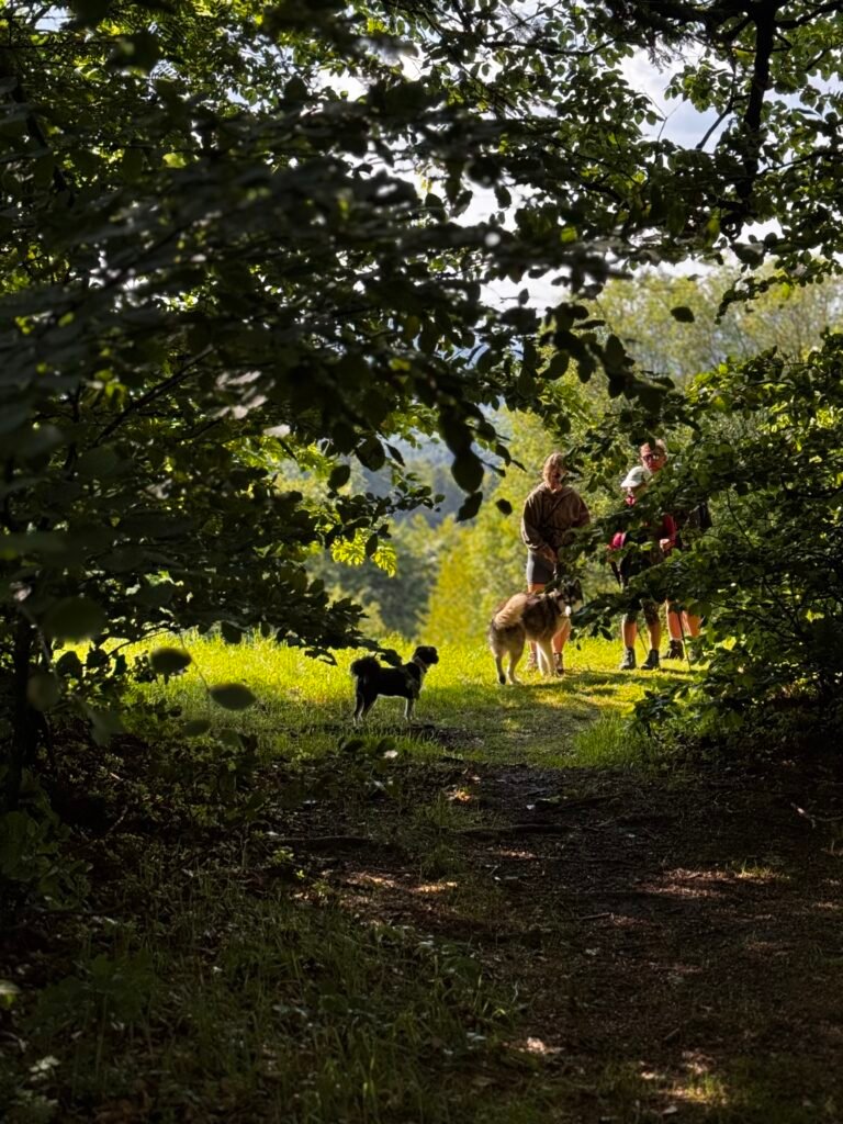 Mikro-urlop w Beskidach