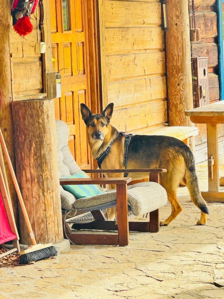 Chata pod Jaworem – Twoje przytulne noclegi w Wiśle