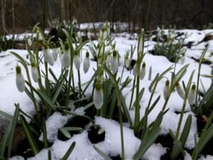 Chata pod Jaworem – Twoje przytulne noclegi w Wiśle