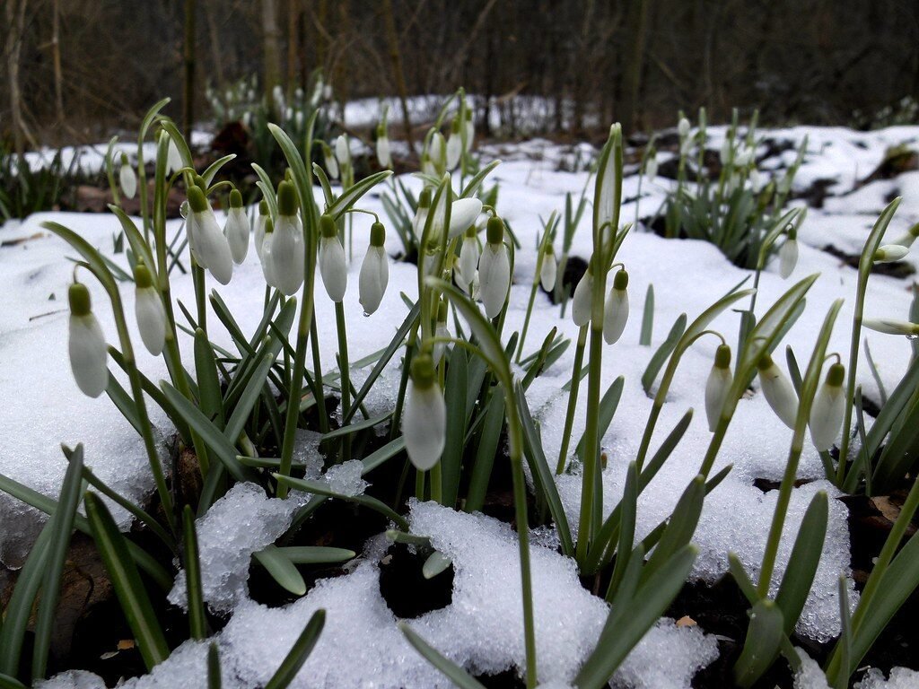 Chata pod Jaworem – Twoje przytulne noclegi w Wiśle