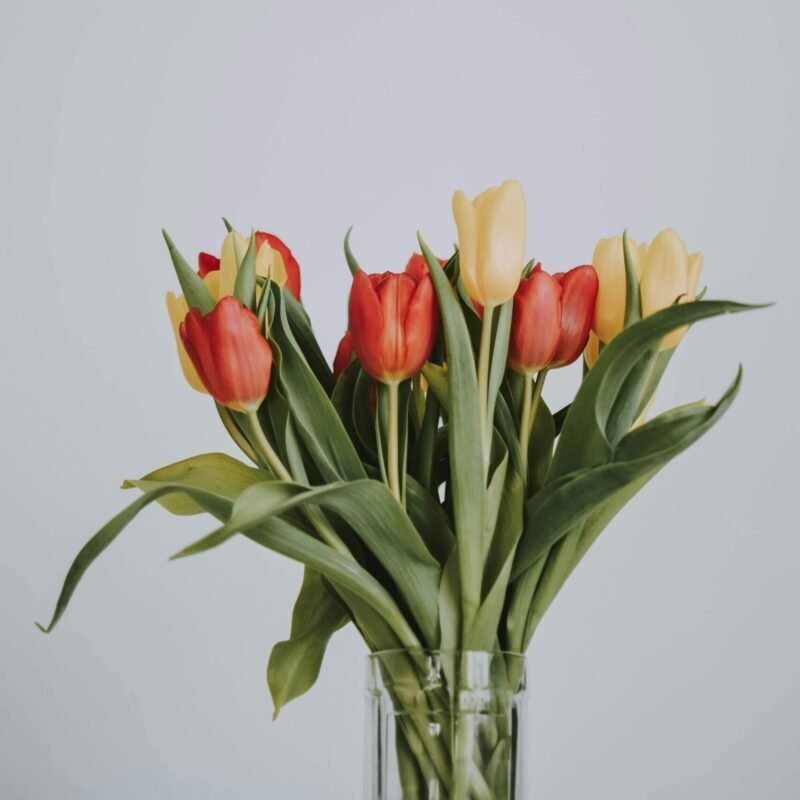 Dzień Kobiet w Wiśle